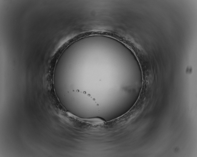 X0000101391256200807141124