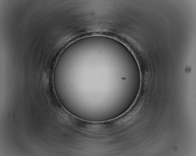 X0000101391257200807141124