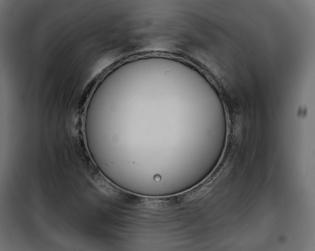 X0000101391258200807141124