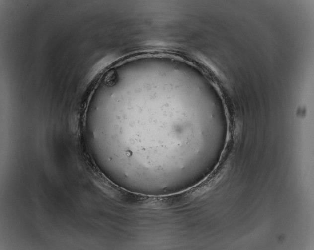 X0000101391259200807141124