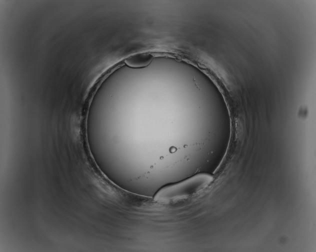 X0000101391260200807141124