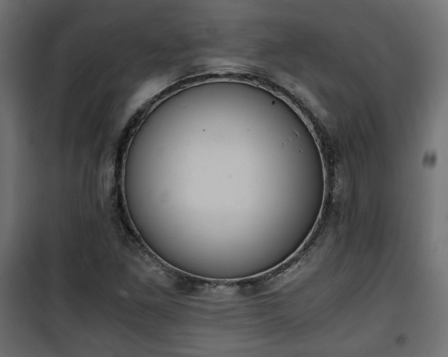 X0000101391261200807141124