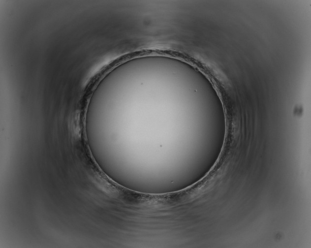 X0000101391262200807141124