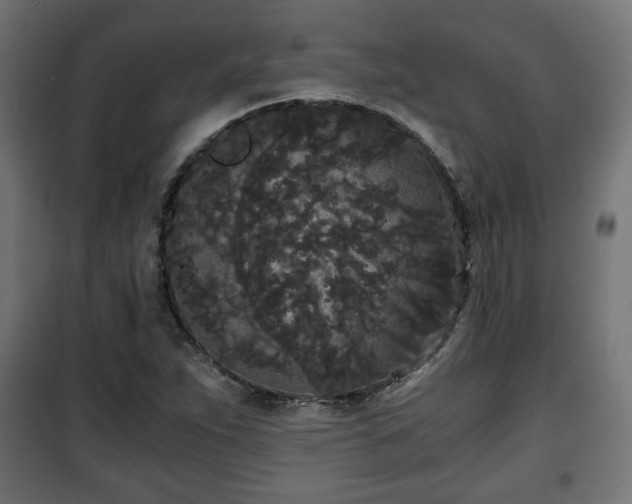 X0000101391263200807141124