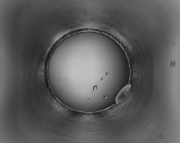 X0000101391264200807141124