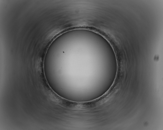 X0000101391265200807141124