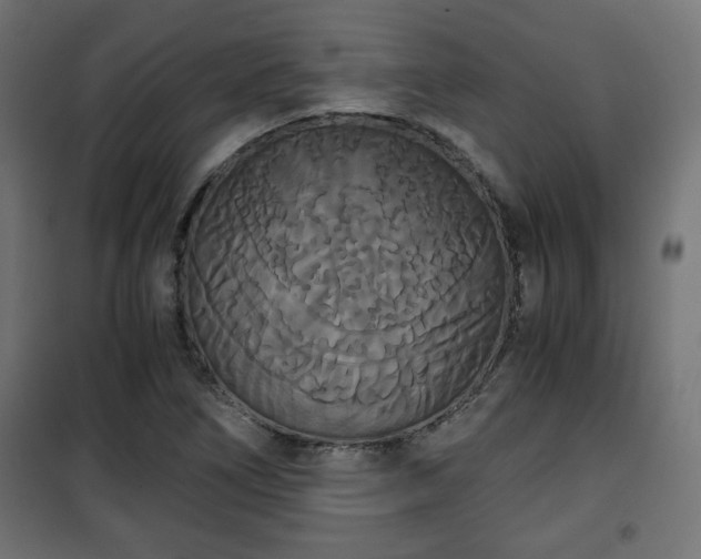 X0000101391266200807141124