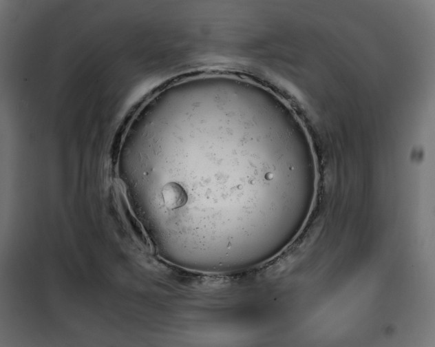 X0000101391267200807141124