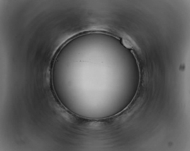 X0000101391268200807141124