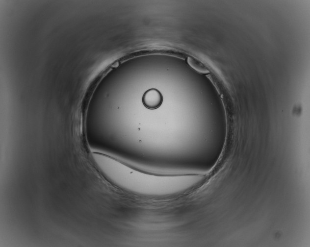 X0000101391269200807141124