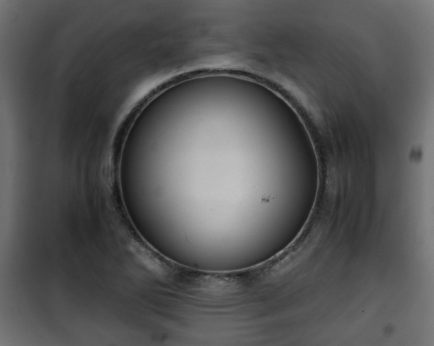 X0000101391270200807141124