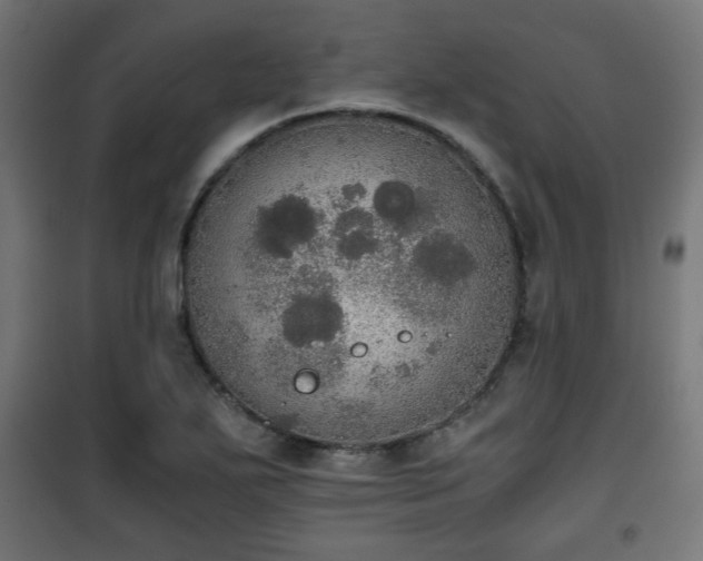 X0000101391271200807141124