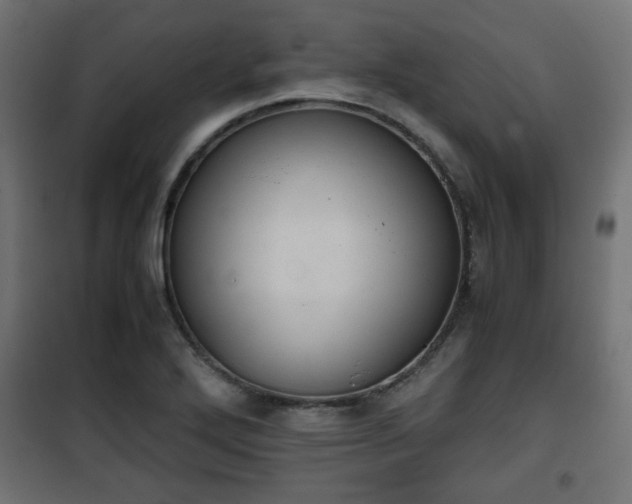 X0000101391272200807141124