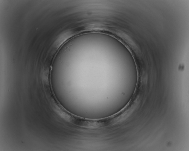 X0000101391273200807141124