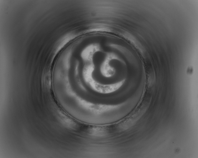 X0000101391274200807141124