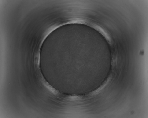 X0000101391276200807141124