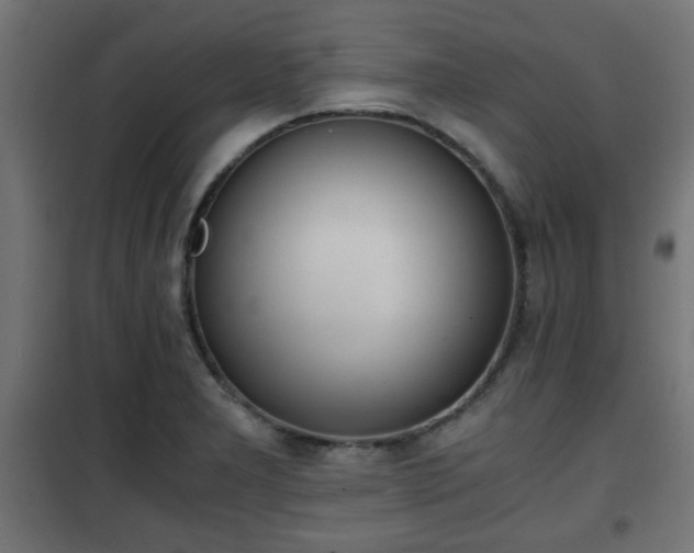 X0000101391277200807141124