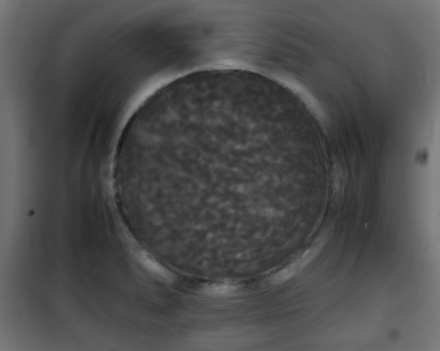 X0000101391278200807141124