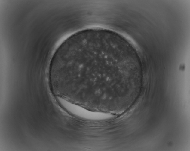 X0000101391279200807141124