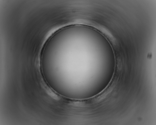 X0000101391280200807141124