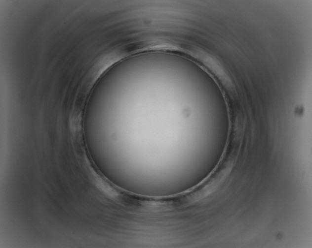 X0000101391281200807141124