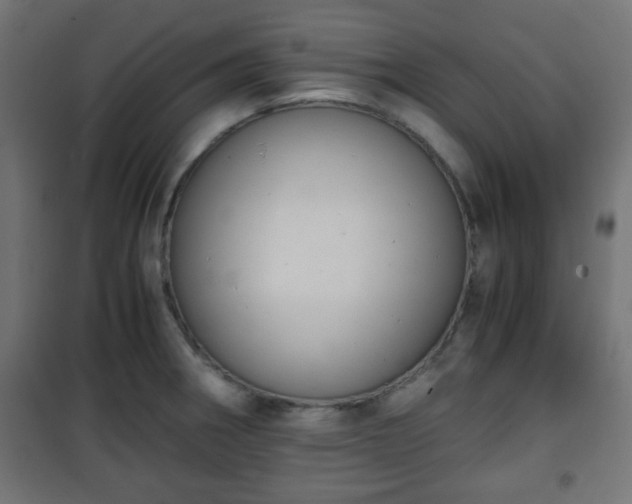 X0000101391282200807141124