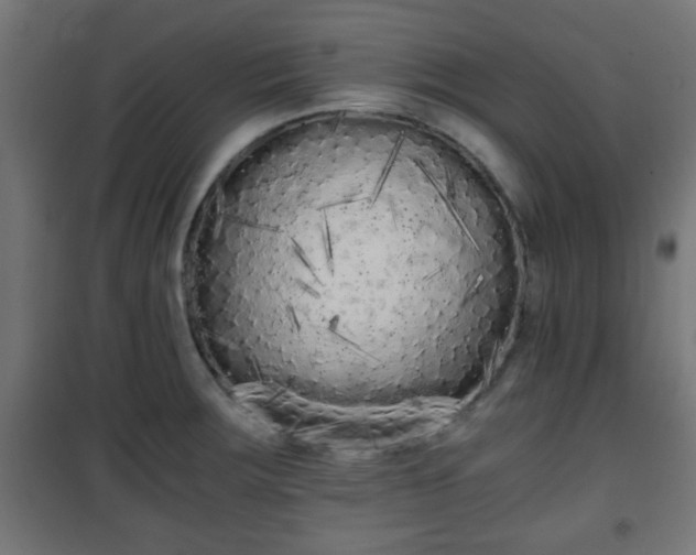 X0000101391283200807141124