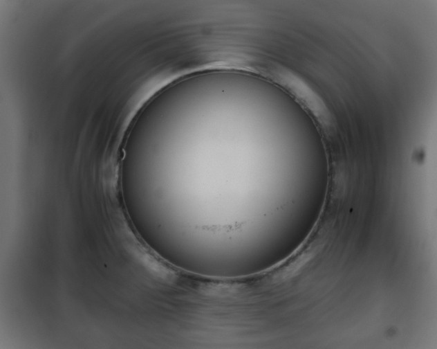 X0000101391284200807141124