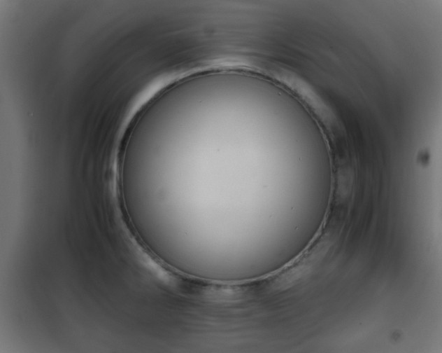 X0000101391286200807141124