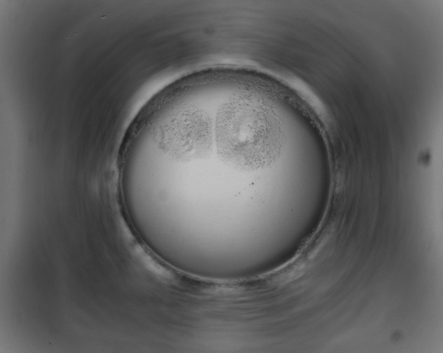 X0000101391287200807141124