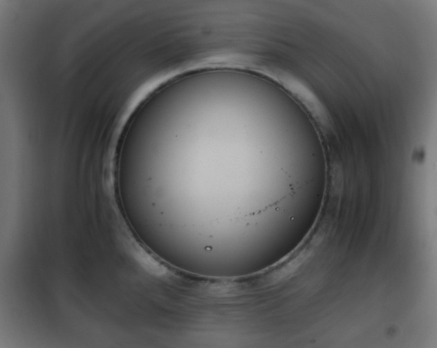 X0000101391288200807141124