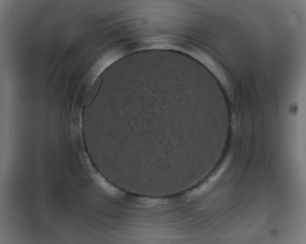 X0000101391289200807141124