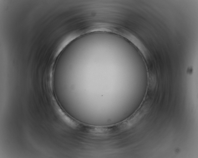 X0000101391290200807141124