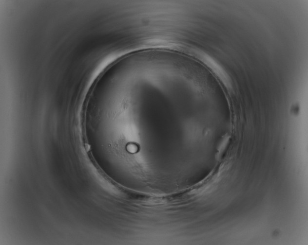 X0000101391291200807141124