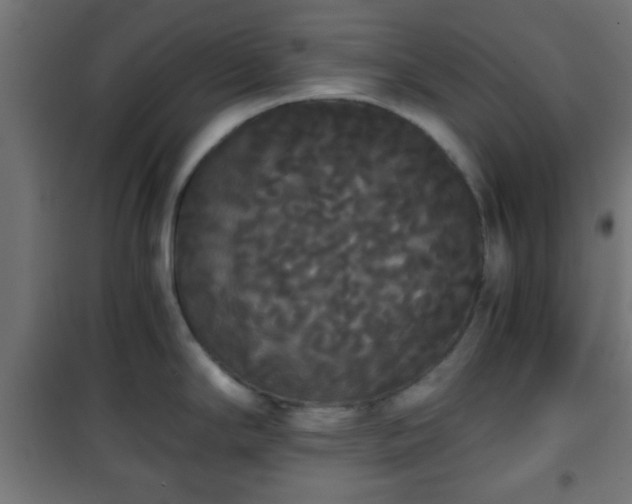 X0000101391294200807141124