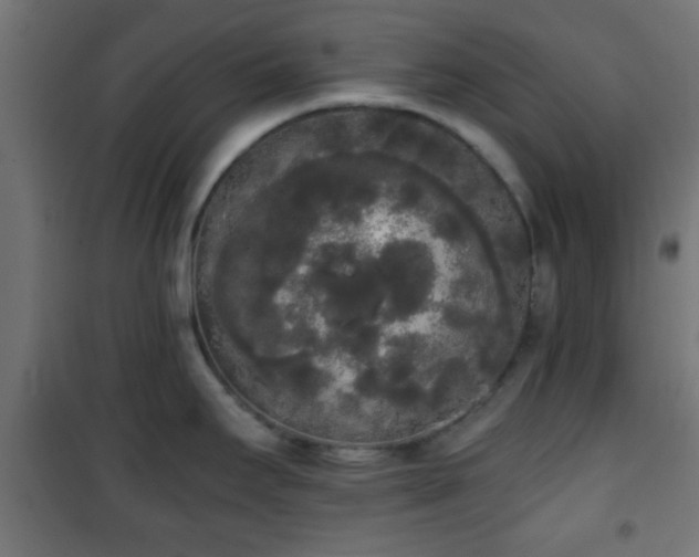 X0000101391295200807141124