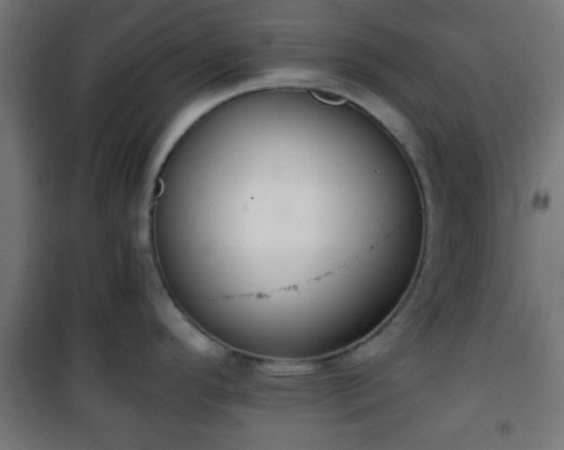 X0000101391296200807141124