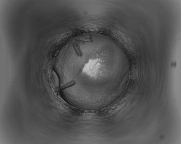 X0000101391297200807141123