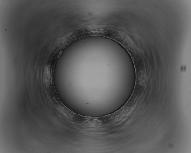 X0000101391298200807141123