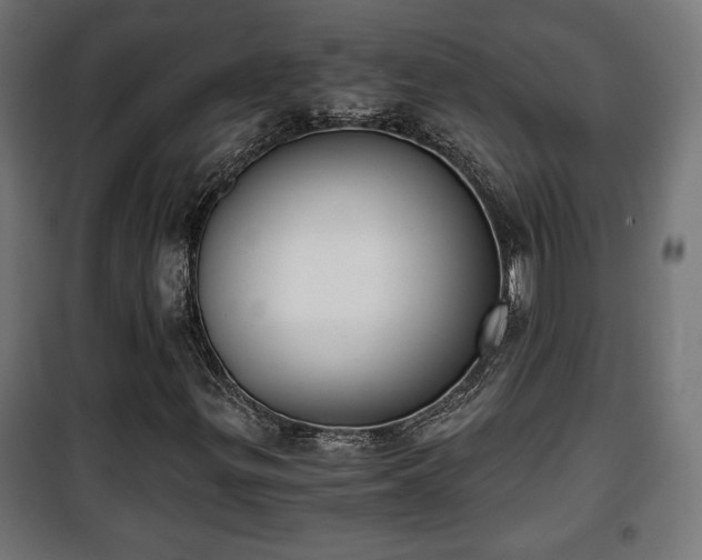 X0000101391299200807141123