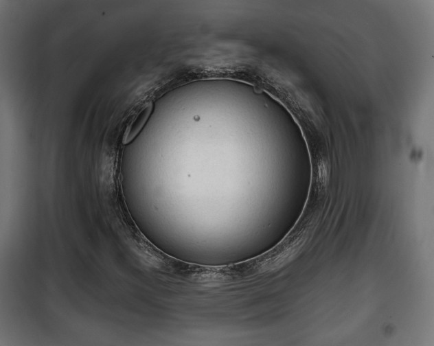 X0000101391300200807141123