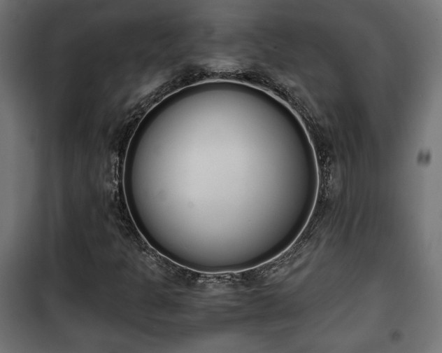 X0000101391301200807141123