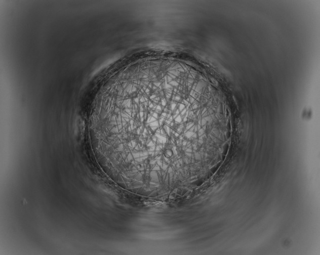 X0000101391302200807141123
