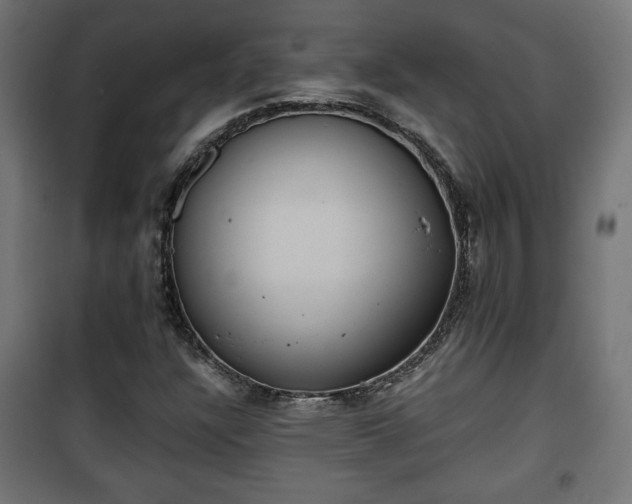 X0000101391304200807141123