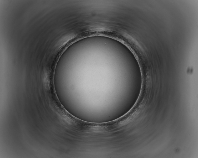 X0000101391305200807141123