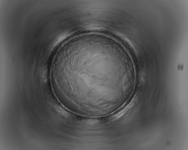 X0000101391306200807141123