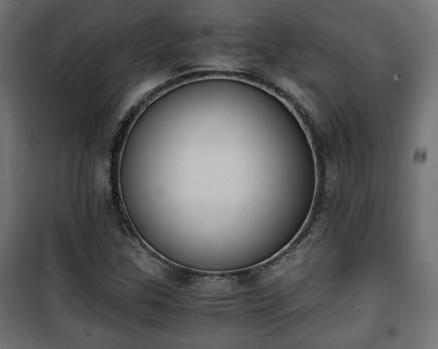 X0000101391307200807141123