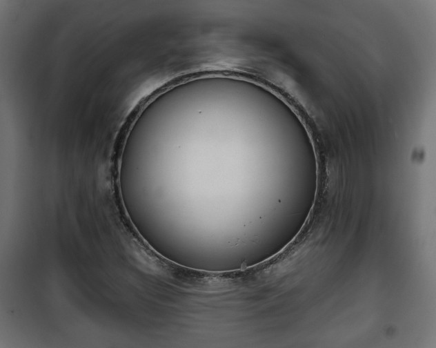 X0000101391308200807141123