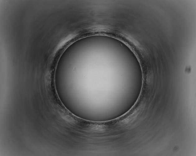 X0000101391309200807141123