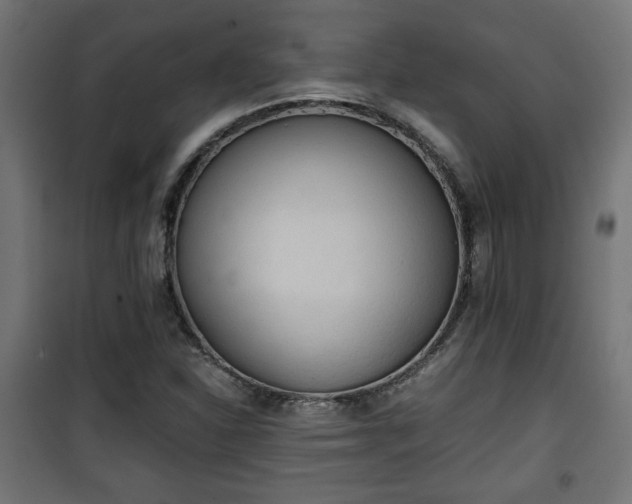 X0000101391310200807141123